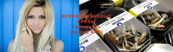 прущая мука Новозыбков