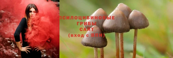 стаф Нефтегорск