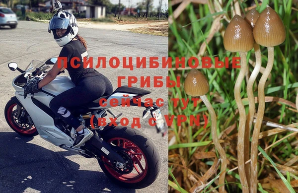 наркотики Новокубанск