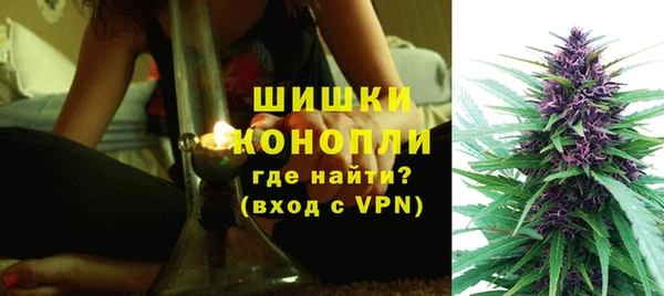 стаф Нефтегорск