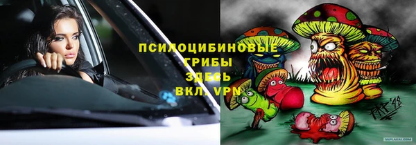 МДПВ Новодвинск