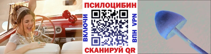 kraken ССЫЛКА  Невельск  Галлюциногенные грибы Cubensis 